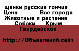 щенки русские гончие › Цена ­ 4 000 - Все города Животные и растения » Собаки   . Крым,Гвардейское